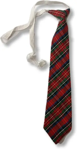 Allen Solly Junior School Tie